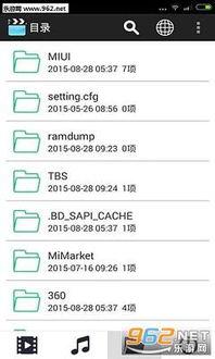 99热久久视频只有精品在线010,精选在线010，尽享视听盛宴